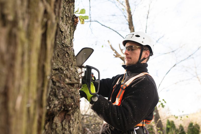 Climber Using Safety Gear